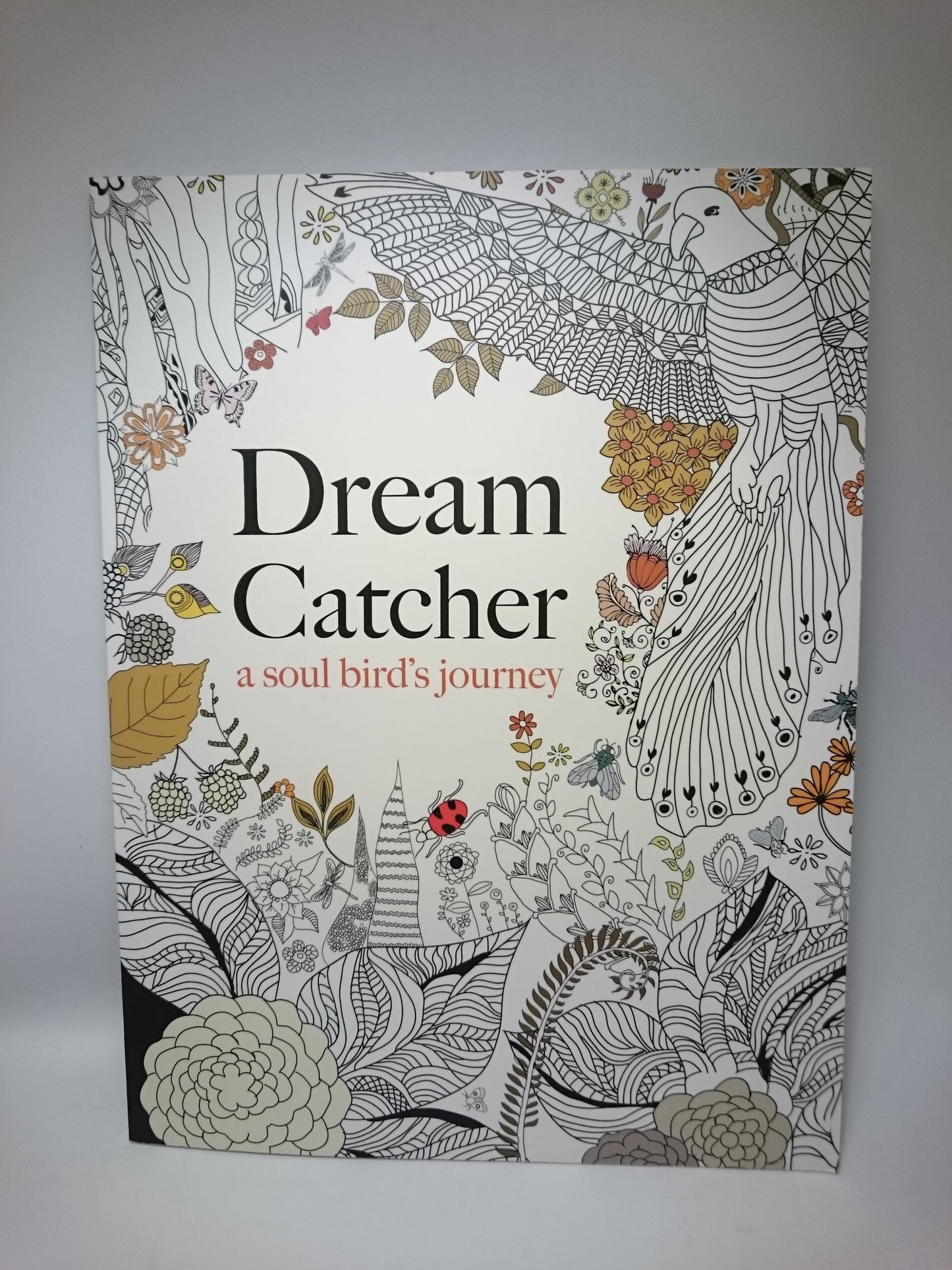 Dream Catcher - a Soul Birds Journey