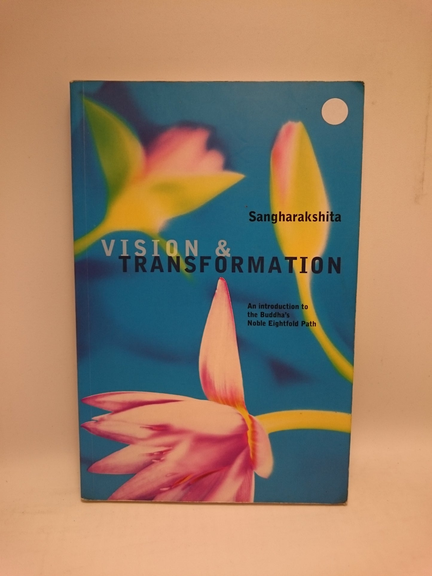 Vision and Transformation