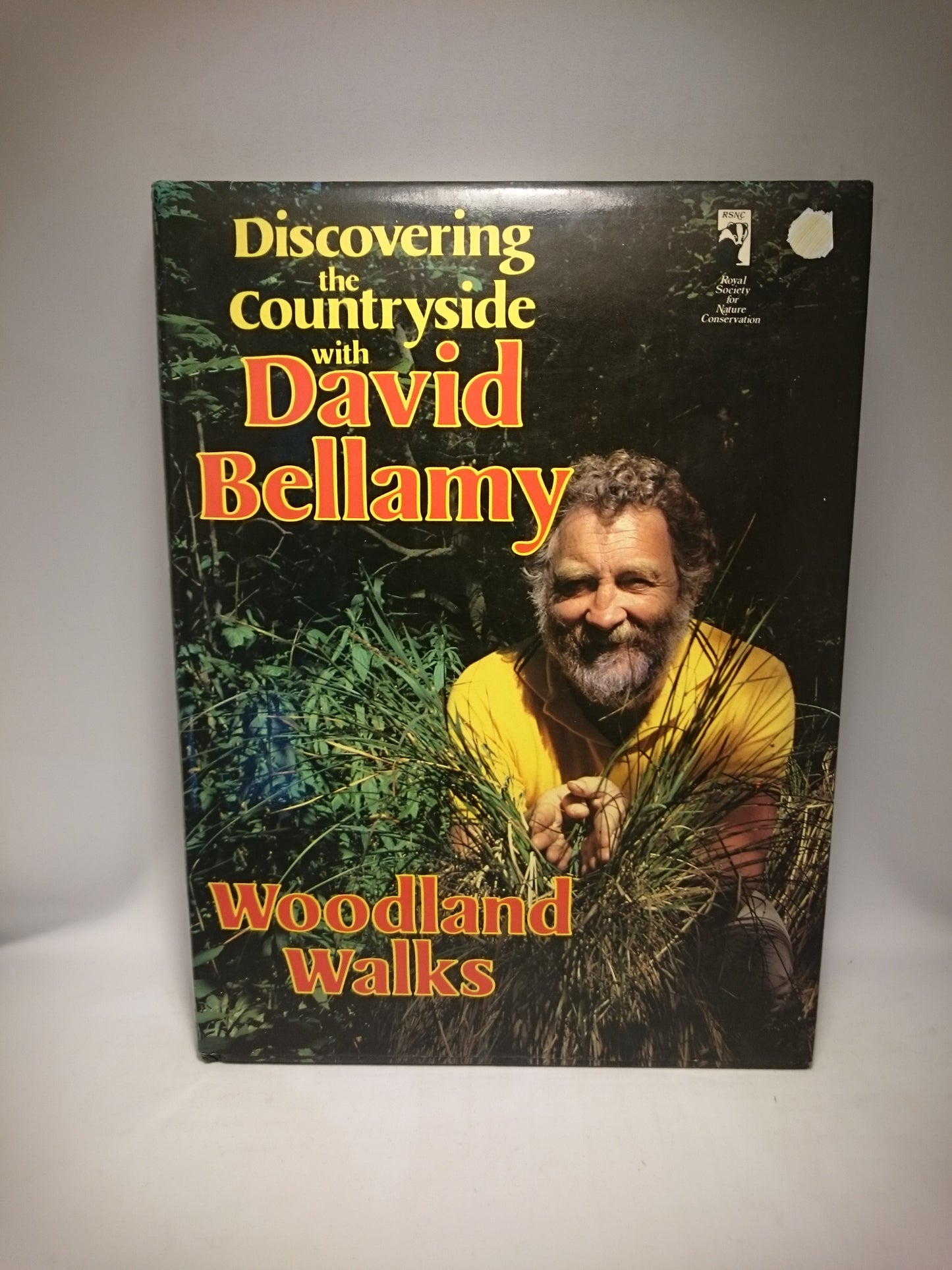 Discovering the Countryside with David Bellany
